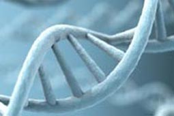 【专业破解版】免费下载的安卓ddos攻击工具